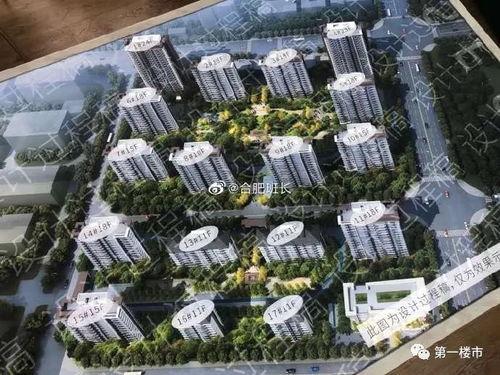 肥西楼市最新爆料消息,揭秘最新爆料背后的市场真相  第1张